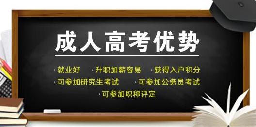 山东成人高考文凭能考公务员吗