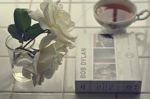 å±±ä¸æè