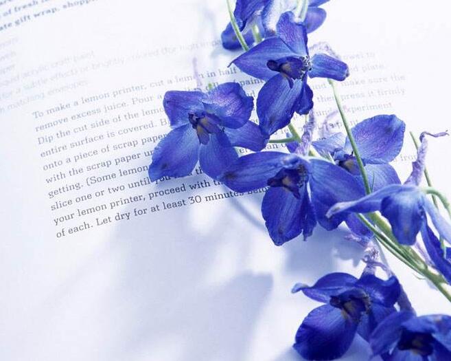 å±±ä¸æè