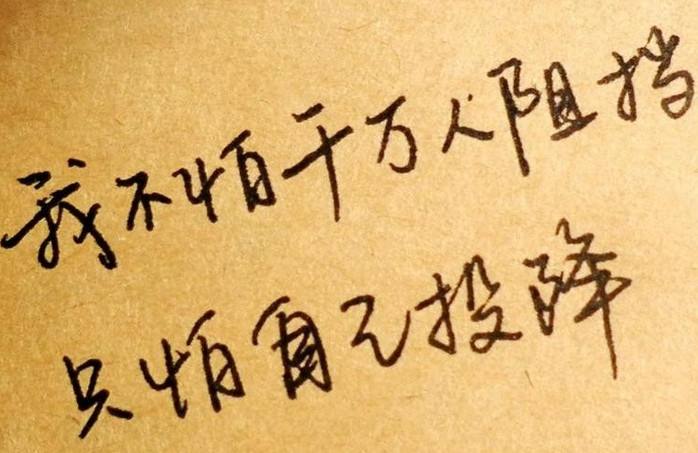 2018å¹´å±±ä¸æäººé«è